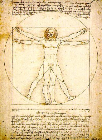 vitruvius-uomo_universalis.jpg